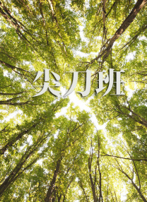 与上司的暧昧